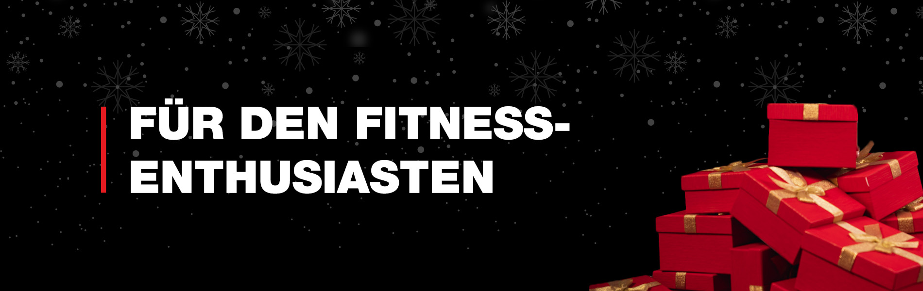 Für den Fitness-Enthusiasten